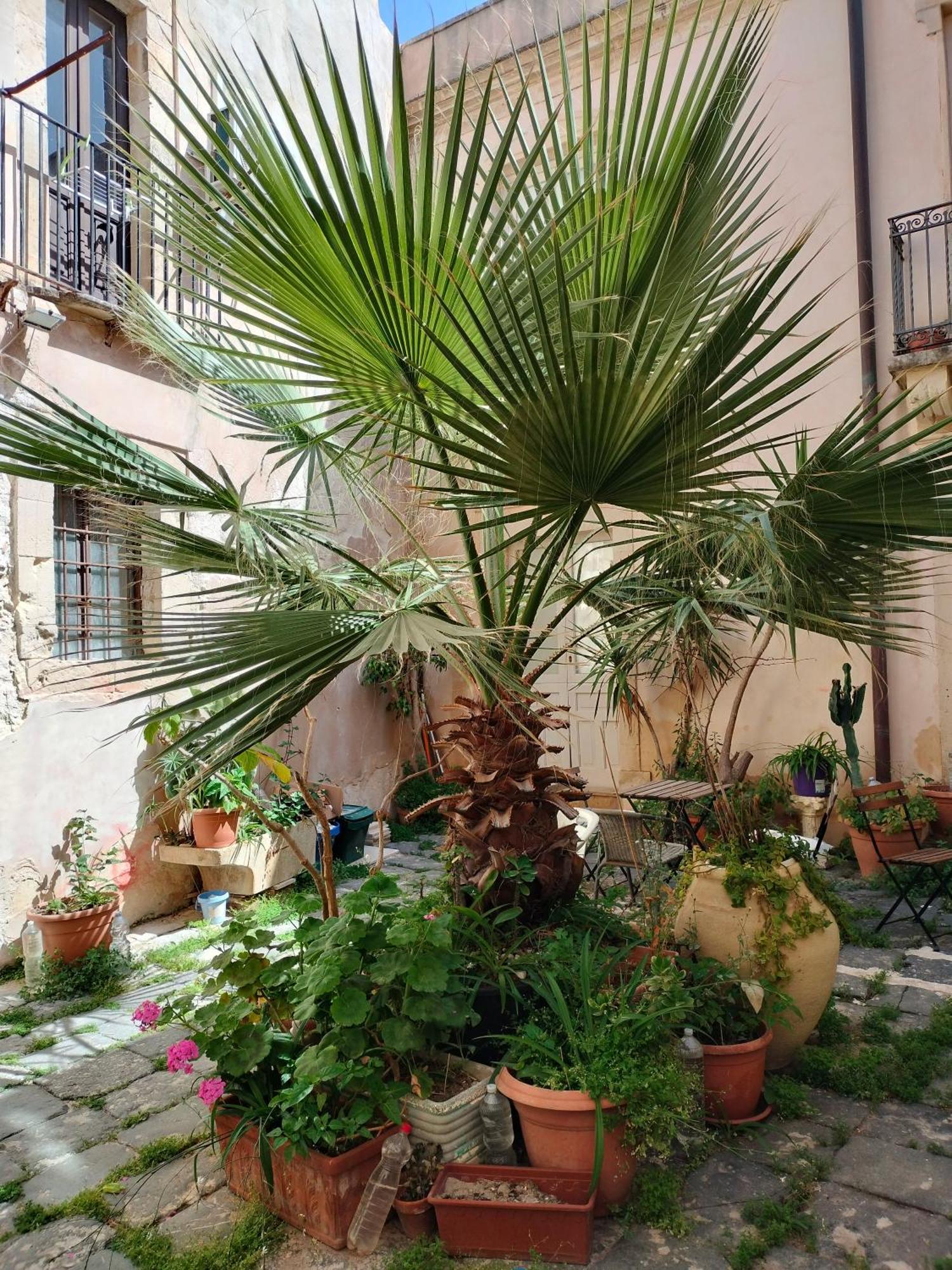 Casa La Palma Di Ortigia Syracuse Exterior foto